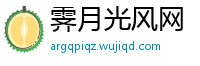 霁月光风网